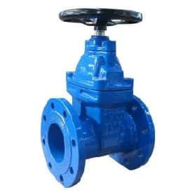 Cast Iron Gate Valve