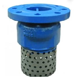 Foot Valve