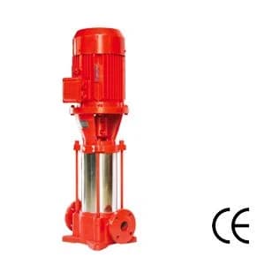 Jockey pump