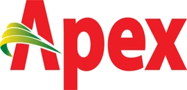 Apex logo